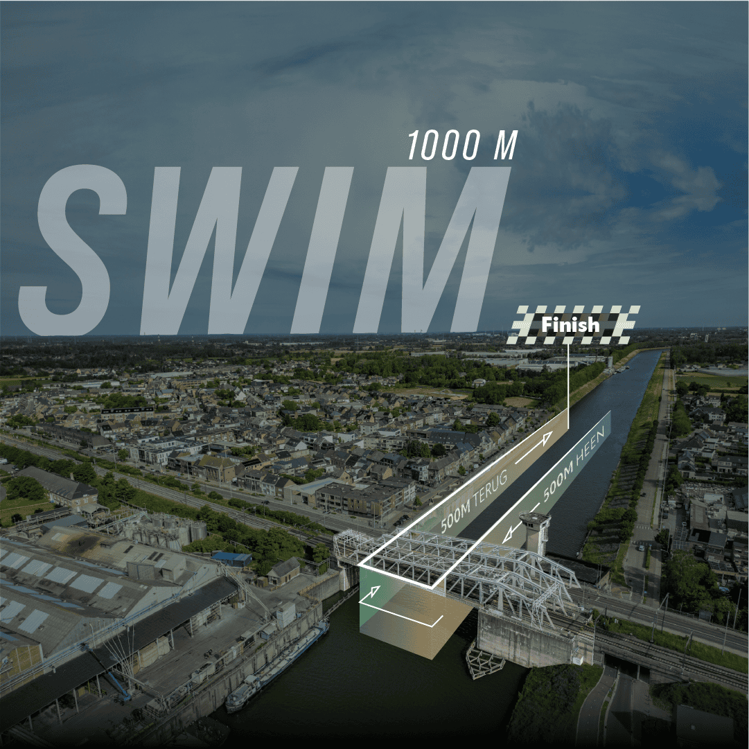 swim swim